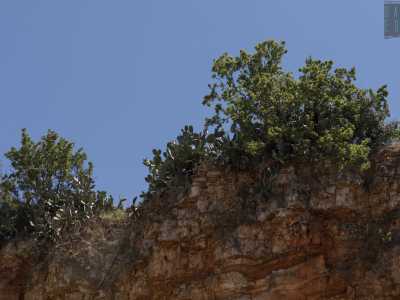 ...circondata da alte spalle rocciose rossastre su cui fanno capolino alberi da frutto e fichi d�india